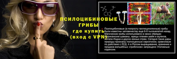 крисы Наволоки