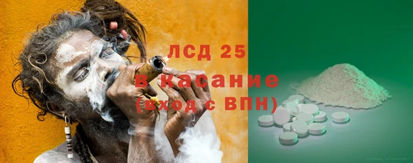 прущий лед Алзамай