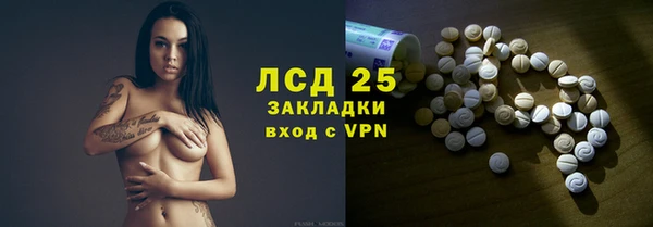 прущий лед Алзамай