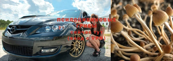 а пвп мука Алексеевка