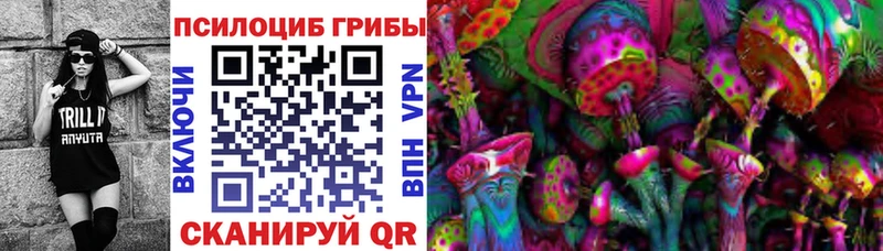Псилоцибиновые грибы Cubensis  закладка  Вельск 